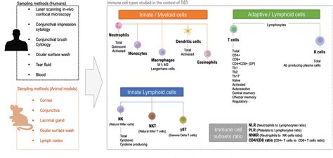 Figure 1 From Ocular Surface Immune Cell Diversity In Dry Eye Disease Semantic Scholar