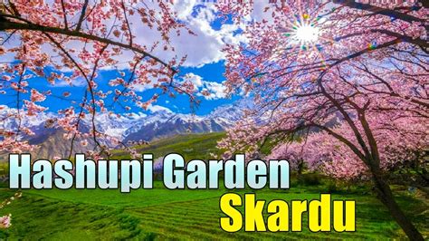 Hashupi Garden | Shigar valley | Skardu - YouTube