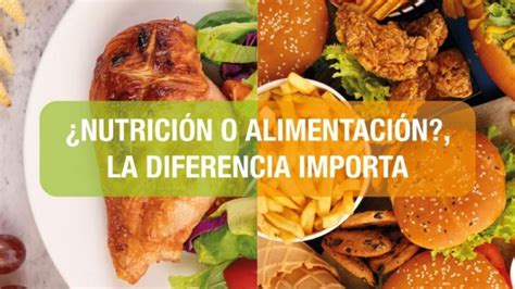 ¿nutrición O Alimentación La Diferencia Importa Ser Zen