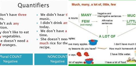 Quantifiers Much Many Some Any Few Little Eslbuzz