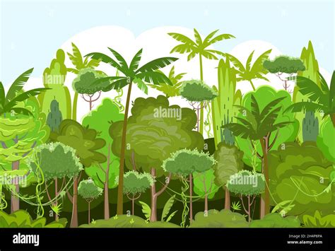 Rainforest Im Genes Vectoriales De Stock Alamy