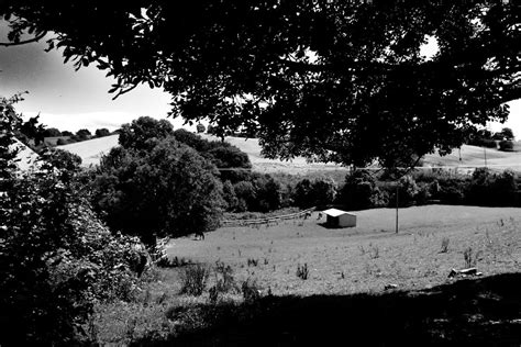 Field Beside Trees during Daytime · Free Stock Photo