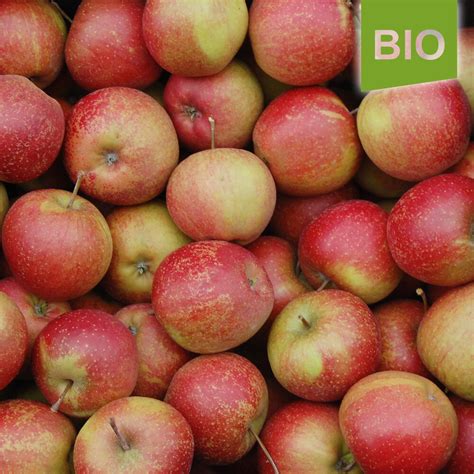 Bio Äpfel 5kg Steige frei Haus 20 50