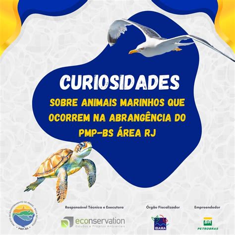 Curiosidades Sobre Os Animais Marinhos - Conheça as curiosidades mais incríveis sobre os animais marinhos ...