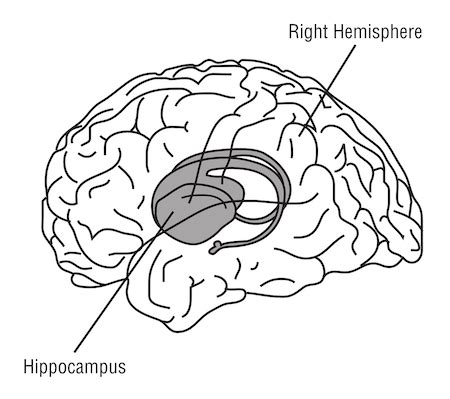 Anterograde Amnesia | Examples, Symptoms & Treatment - Video & Lesson ...