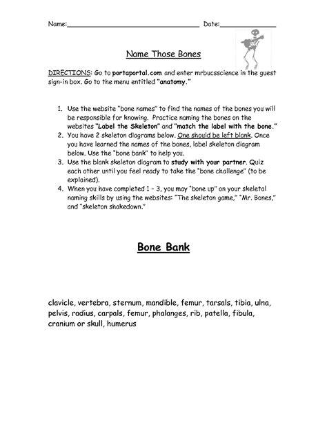 9 Bill Nye Bones And Muscles Worksheet