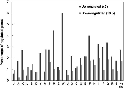 Functional Classification According To Eukaryotic Orthologous Groups