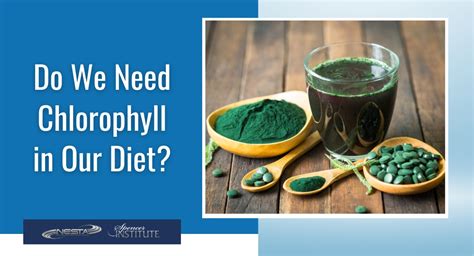 What Are The Benefits Of Including Chlorophyll In Our Diet