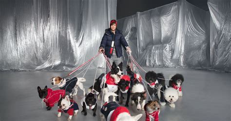 Moncler Poldo Dog Couture Coats Leashes Collection Details