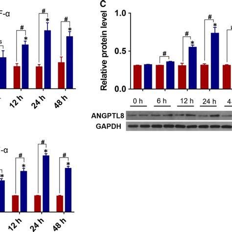 Tnf Promoted The Expression Of Angiopoietinlike Protein Angptl