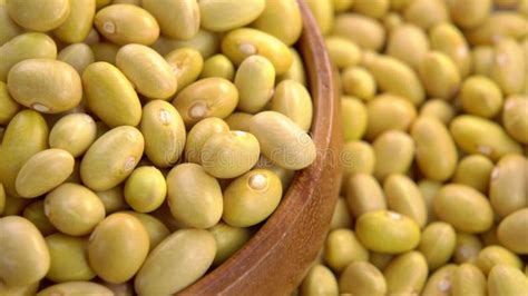 Raw Canary Peruvian Yellow Beans In Rustic Wooden Bowl Dry Peruano