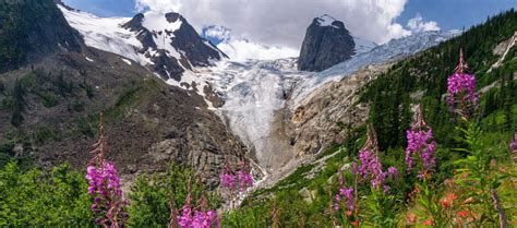 Glaciers in Canada — Canada IYGP