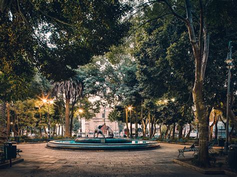 A Weekend in Coyoacán | Story | Hero Traveler