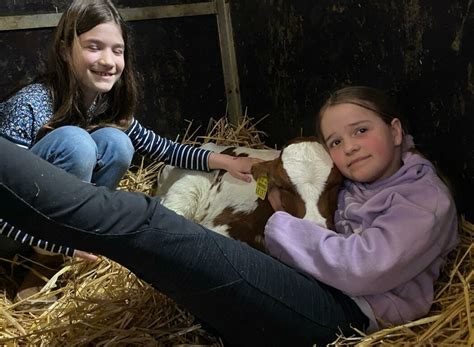 Grundschule Wilnsdorf Immer wieder kommt ein neuer Frühling