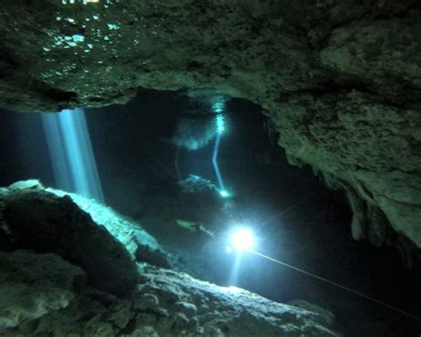 Cenote Tajma Ha Cenote Diving Cave Diving Training Akumal