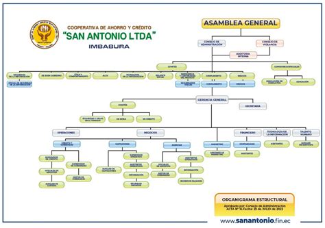 Estructura Organizacional Cooperativa De Ahorro Y Cr Dito San Antonio