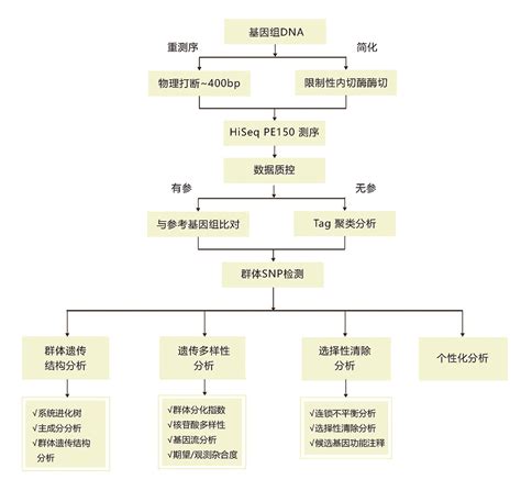 技术路线图科研研究技术路线图科研技术路线图模板第2页大山谷图库