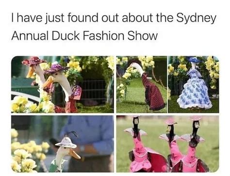 Finally A Good Fashion Show Meme By Memedroidrepostsalot Memedroid