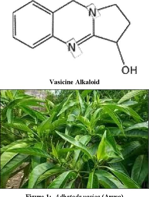 Figure From Isolation And Characterization Of Vasicine From Adhatoda