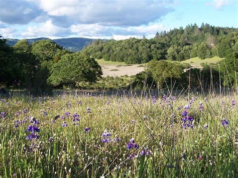 Trione Annadel State Park A Wild Paradise Sonoma County Tourism