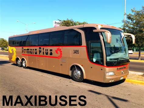 Maxibuses Primera Plus Divisi N Tur Stica Turismo