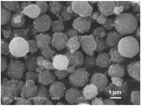 一种铌掺杂的富锂锰基层状氧化物正极材料及其制备方法与流程2