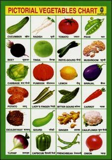 Indian Educational Chart Postcard. Pictorial Vegetables Chart.