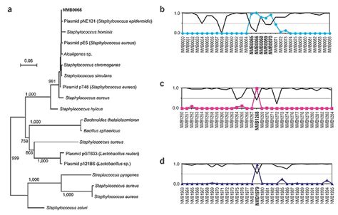 Donor Identification Of Horizontally Transferred Genes In Neisseria