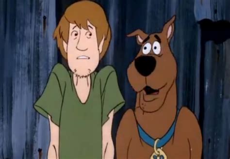 Scooby-Doo and Shaggy - Scooby-Doo and Shaggy Photo (37966639) - Fanpop