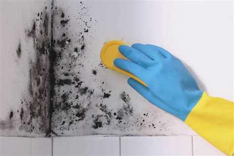 How To Remove Mould From The Bathroom Ceiling Homeminimalisite