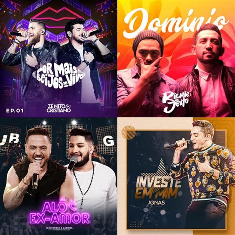 Sertanejo 2019 TOP 100 Musicas Sertanejas Mais Tocadas Sucessos