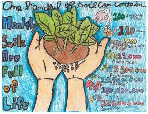 Conservation Poster Contest Franklin Soil And Water Conservation District