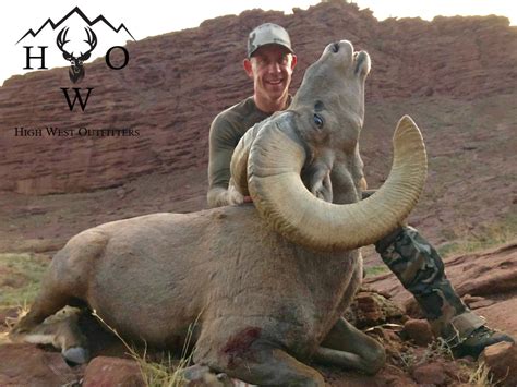 Hunt Texas Desert Bighorn — High West Outfitter