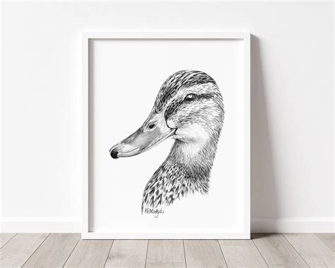 Duck Art PRINT Duck Pencil Drawing Wall Art Mallard Lake Etsy