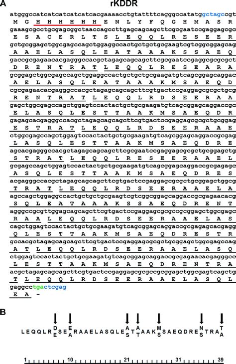 Dna Sequence And Predicted Amino Acid Sequence Of The Kddr Protein A