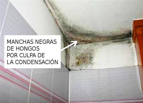 Eliminar Las Humedades Por Condensaci N En Casa