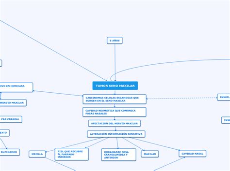 Tumor Seno Maxilar Mind Map