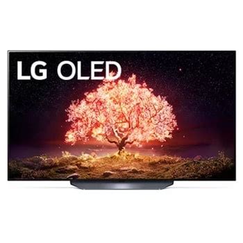 LG OLED55B1PUA.AUS : Support, Manuals, Warranty & More | LG USA Product ...