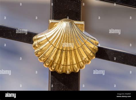 The Scallop Shell Logo The Symbol Of The Camino De Santiago Long