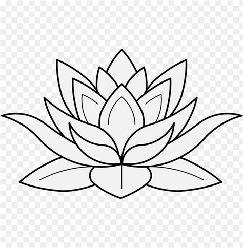 Free download | HD PNG lotus flower in profile lotus flower black and ...