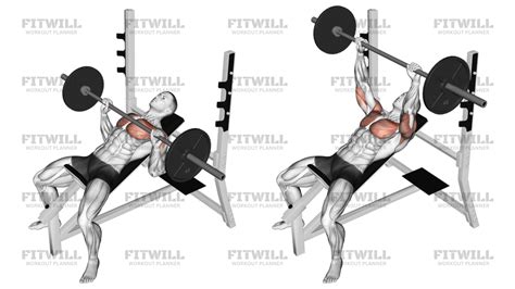 Ultimate Upper Body Workout: Chest, Biceps, and Triceps Routine ...