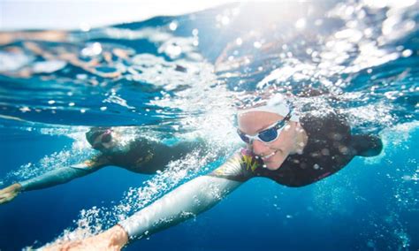 Quelle Combinaison Pour Nager En Eau Froide Belle D Co