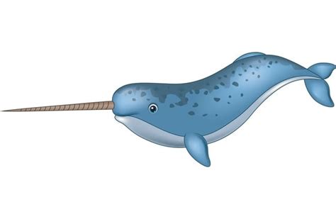 How Long Does A Baby Narwhal Stay With Its Mother - Baby Viewer