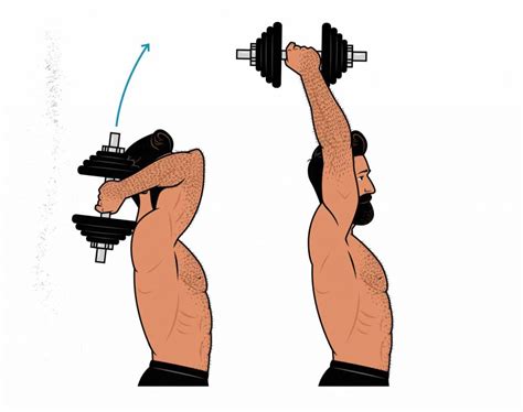 The Overhead Press Hypertrophy Guide – Outlift