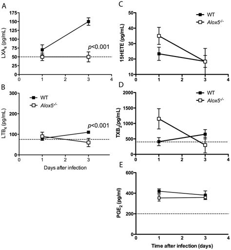 C57bl6 Wt And Alox5−− N 4 Micegroup Mice Were Infected Ip With