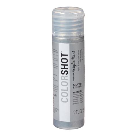 COLORSHOT 2 oz. Metallic Silver Lining Silver Craft Paint-43826 - The ...