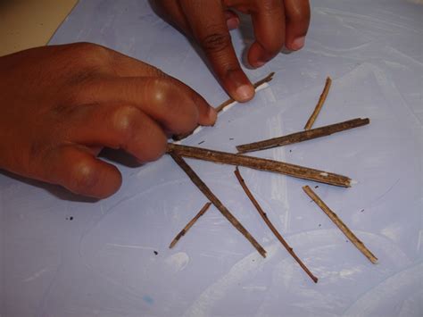 EDUCACIÓ INFANTIL UN ARBRE A L HIVERN