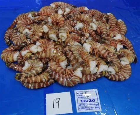 Headless Bamboo Flower Shrimps Prawns At Best Price In Chennai