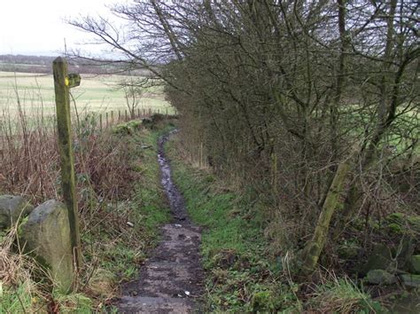 Footpath At Dakins Brook Philandju Cc By Sa Geograph Britain