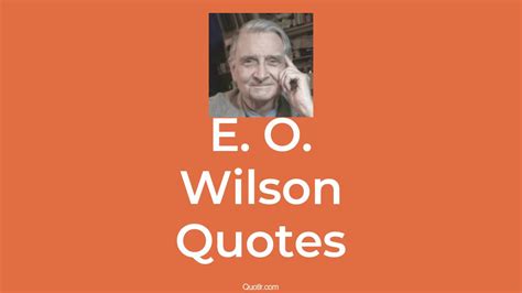 E O Wilson Quotes About Nature Democracy Biophilia Quotlr